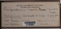Image Associated With the Occurence
